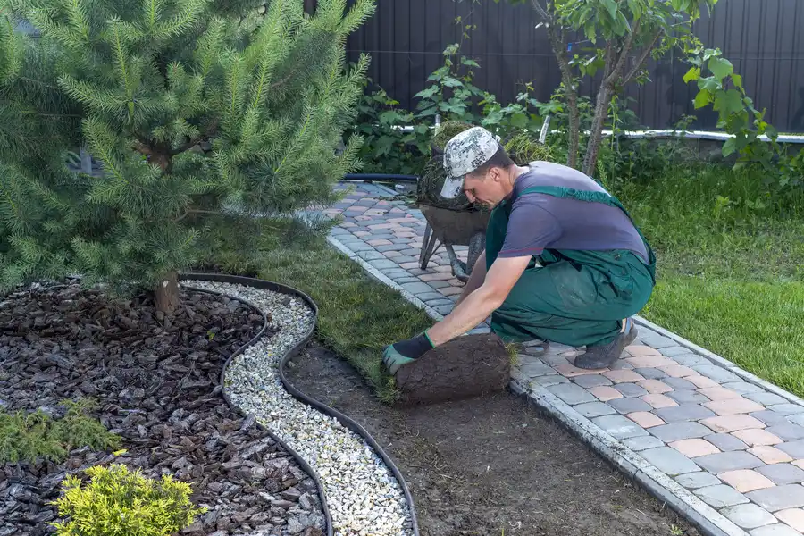 Excellent Landscape Installation Phoenix, AZ Excellent Landscape Installation Phoenix, AZ