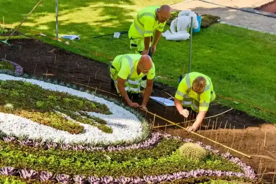 Quality Landscape Construction Phoenix, AZ Quality Landscape Construction Phoenix, AZ